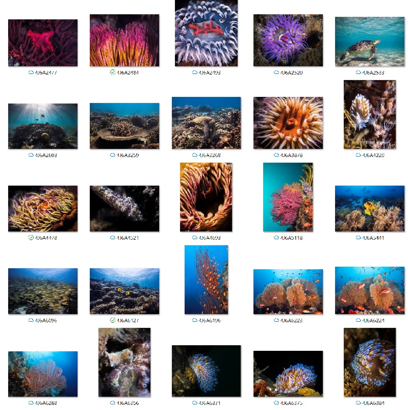stock photos category image